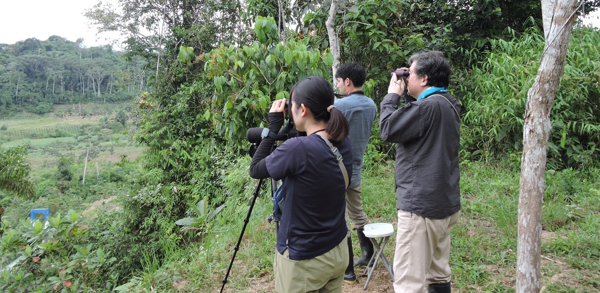Manu National Park rainforest river landscape in Peru
